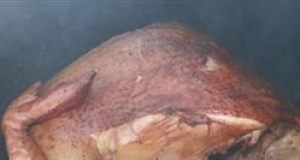 Spicy Brined Turkey