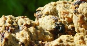 Teff Muffins