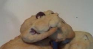 Chocolate Chip Cookies IV