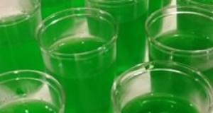 Margarita Jell-O® Shots