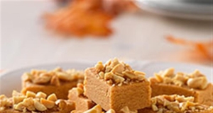 Peanut Butter Fudge Bites