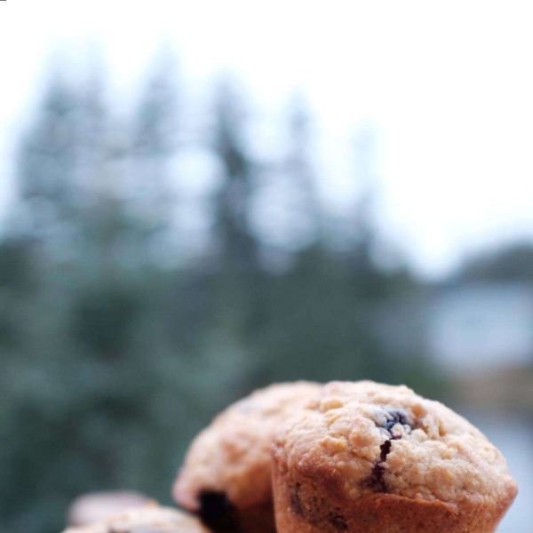 Blueberry Cornmeal Muffins