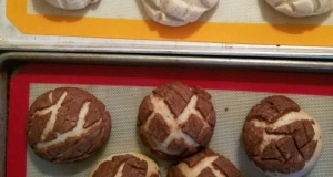 Vanilla and Chocolate Conchas