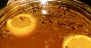 Fresh Cranberry Spiced Tea