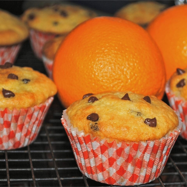 Orange Chocolate Muffins
