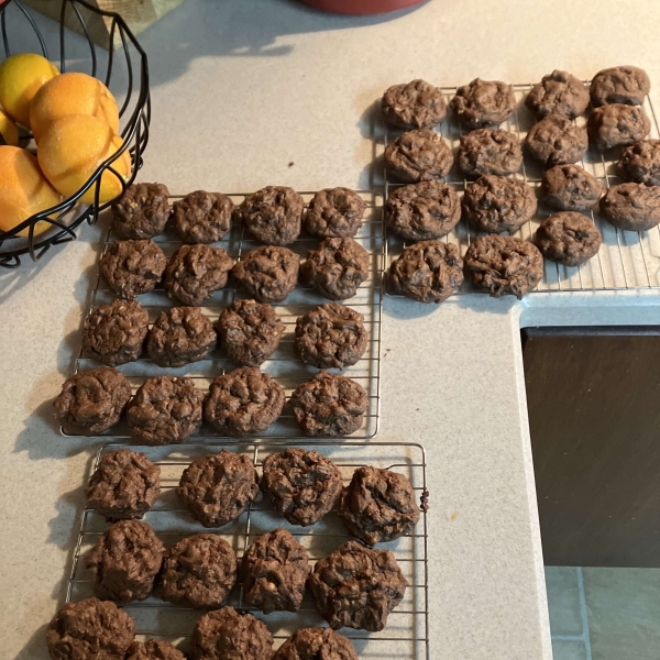 Chocolate Chocolate Chip Cookies