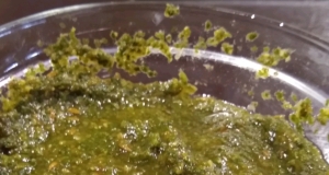 Cilantro Chutney