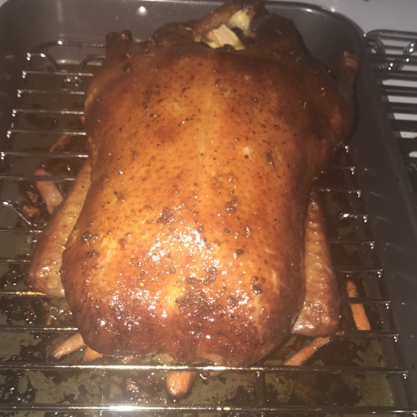 Adams Family Duck