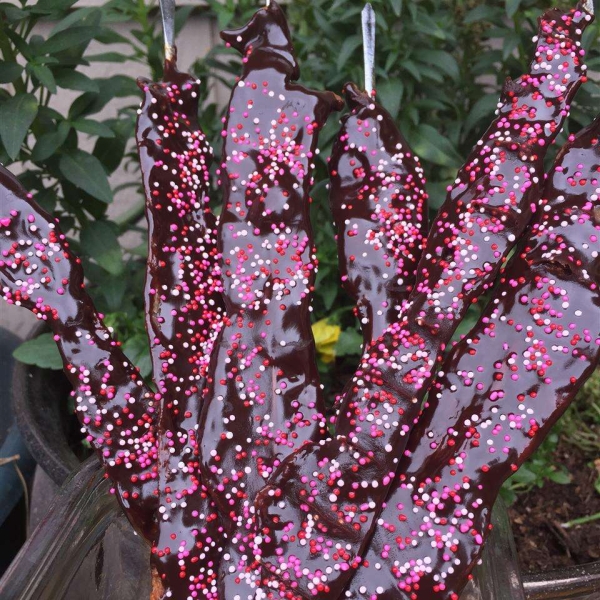 Chocolate-Covered Bacon Strips