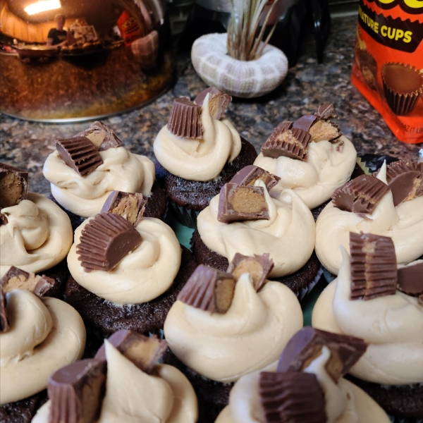 Chocolate Peanut Butter Cupcakes