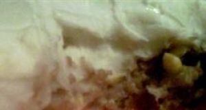 Vegetarian Shepherd's Pie I