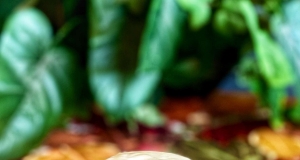 Aquafaba Mayonnaise