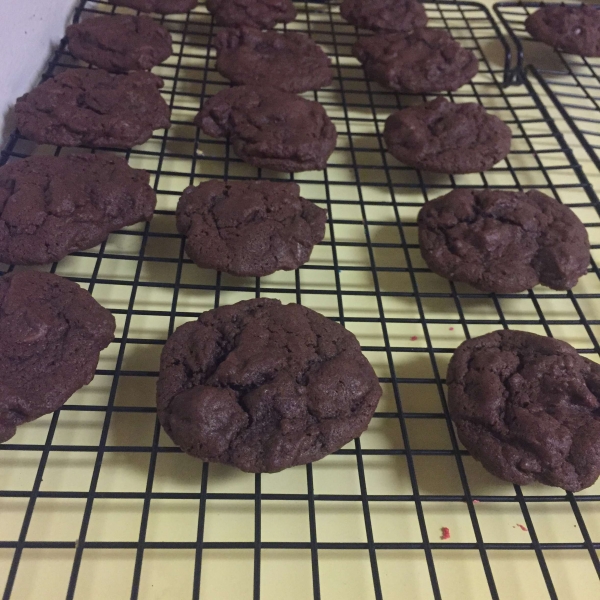 Minty Chocolate Chip Cookies