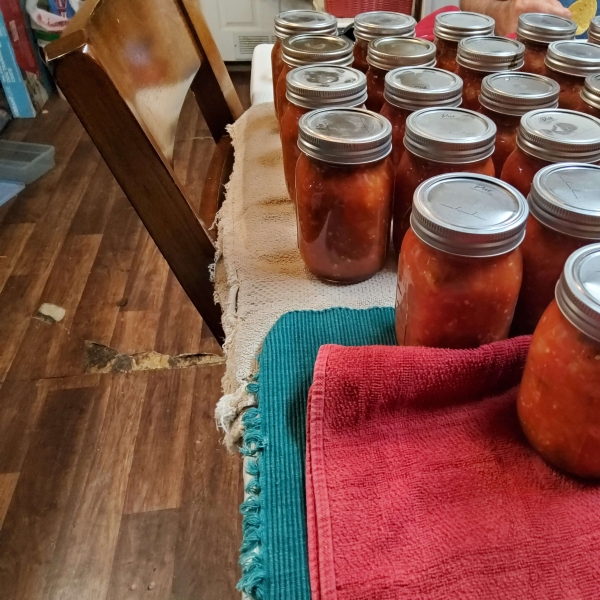 The Best Canning Salsa
