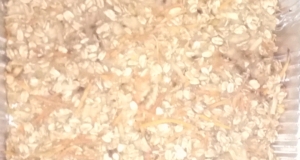 Banana Oat Energy Bars