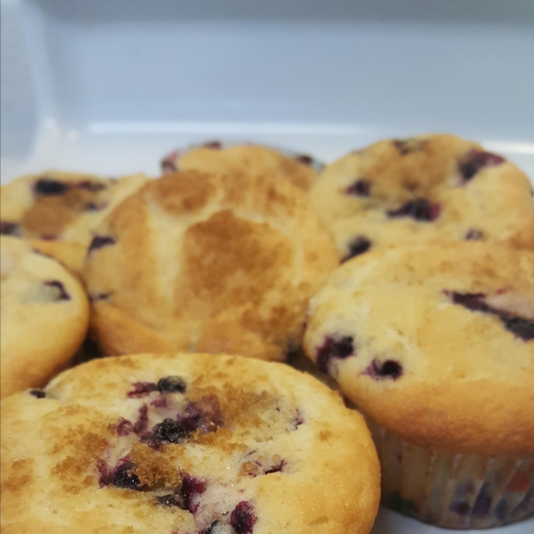 Huckleberry Muffins