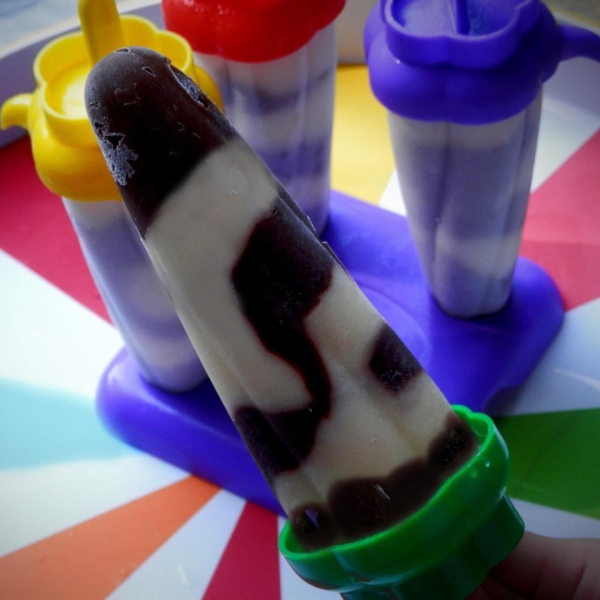 Chocolate Fudge Pops