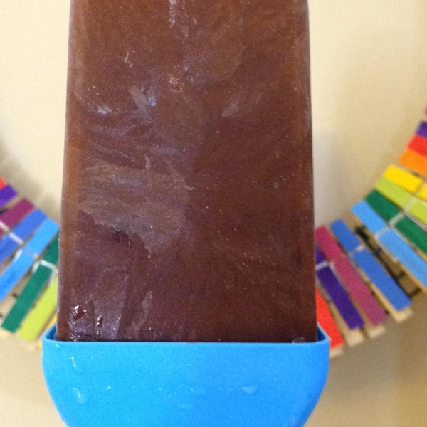 Chocolate Fudge Pops
