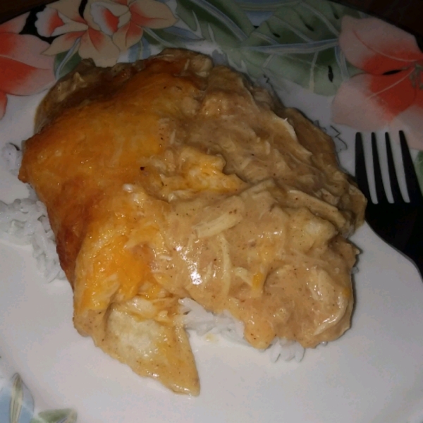 Slow Cooker Cheesy Chicken and Tortillas