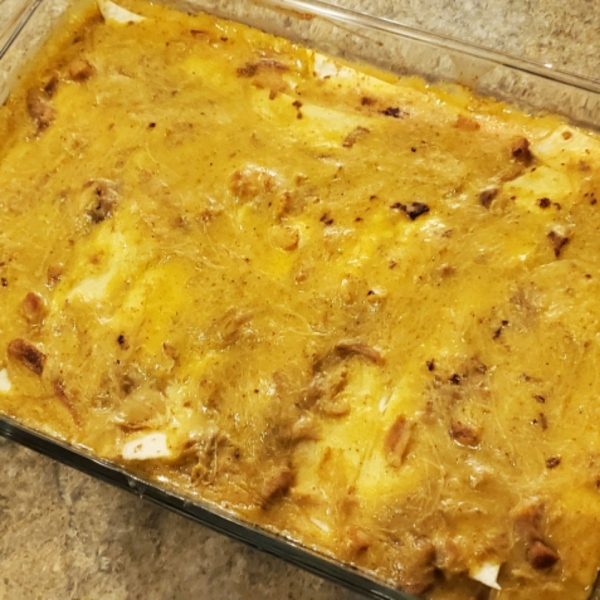 Slow Cooker Cheesy Chicken and Tortillas