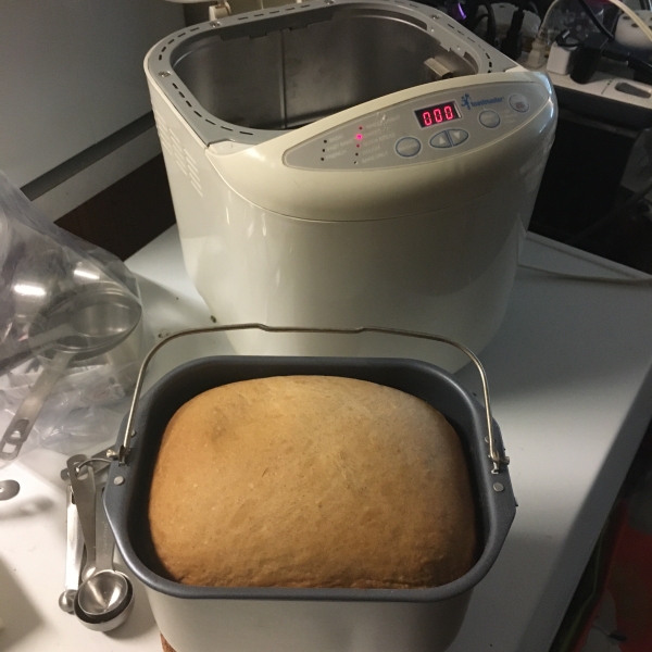 Cinnamon Raisin Bread II