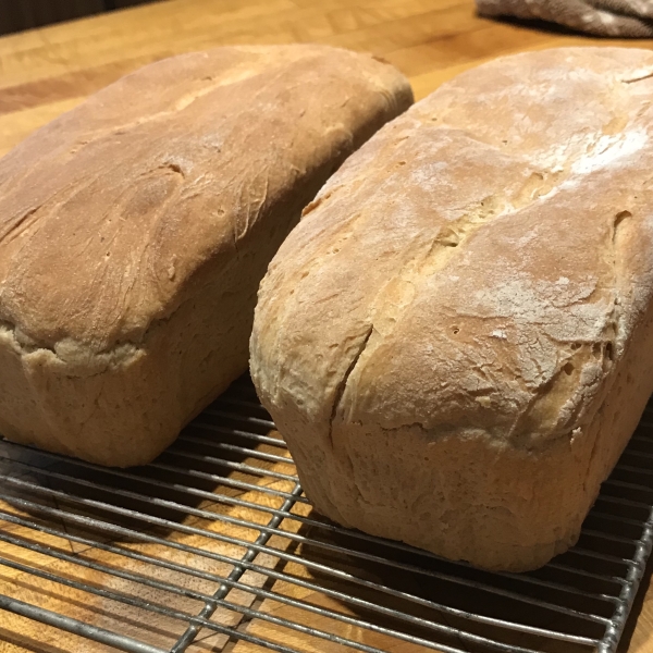 Pseudo Sourdough for the Bread Machine
