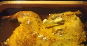 Honey Duck