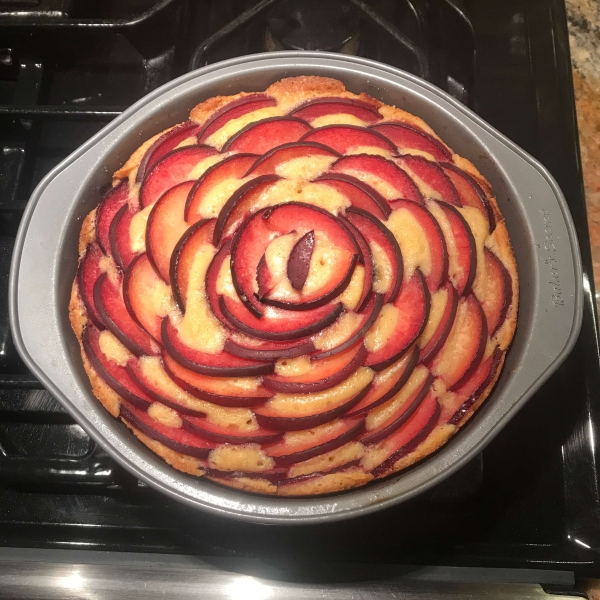 Plum Cakey Tart