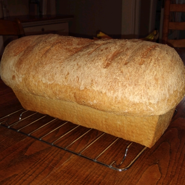 Honey Of An Oatmeal Bread