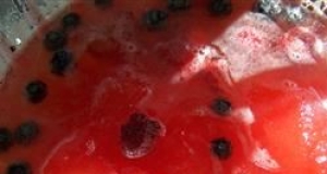 Party Punch IX