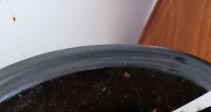 Wisconsin Blue Ribbon Chili