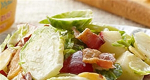 Brussels Sprouts Slaw with Honey Yogurt Dressing