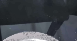 Thai Quivering Tenderloins