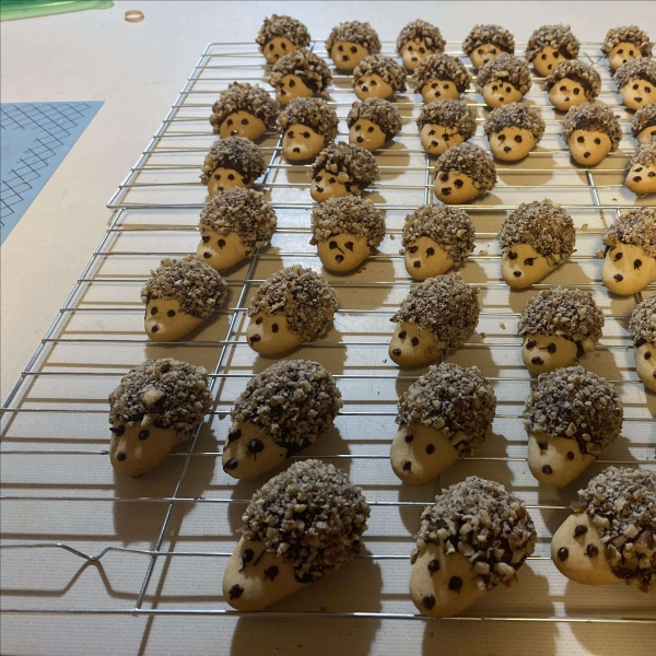 Hedgehog Cookies