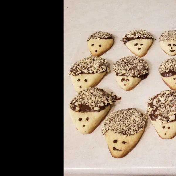 Hedgehog Cookies