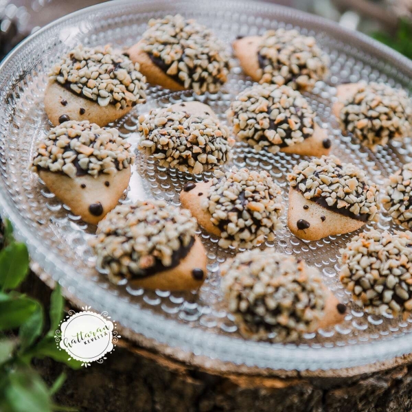 Hedgehog Cookies
