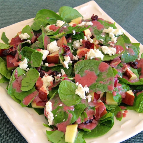 Spinach Salad with Pomegranate Cranberry Dressing