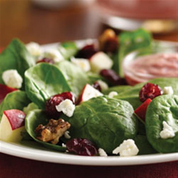 Spinach Salad with Pomegranate Cranberry Dressing