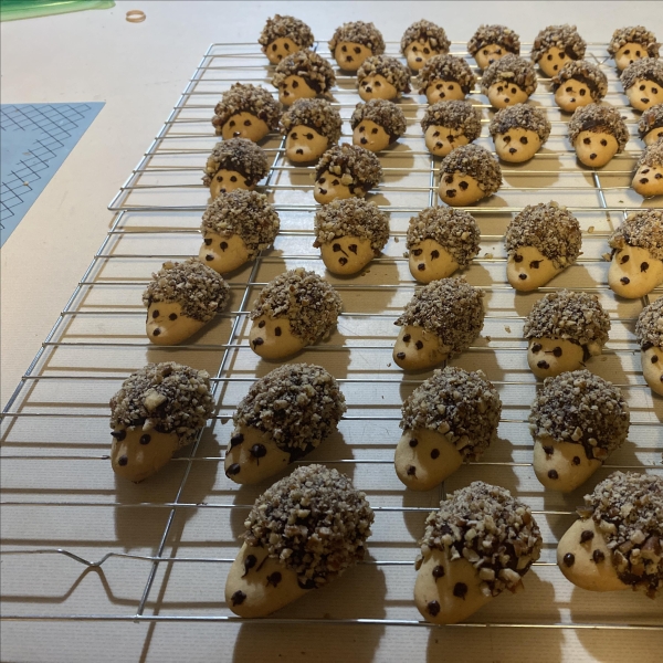 Hedgehog Cookies