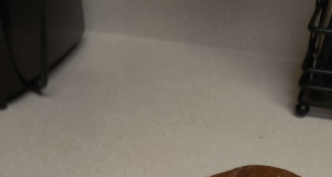 Mo Bro's Burgers