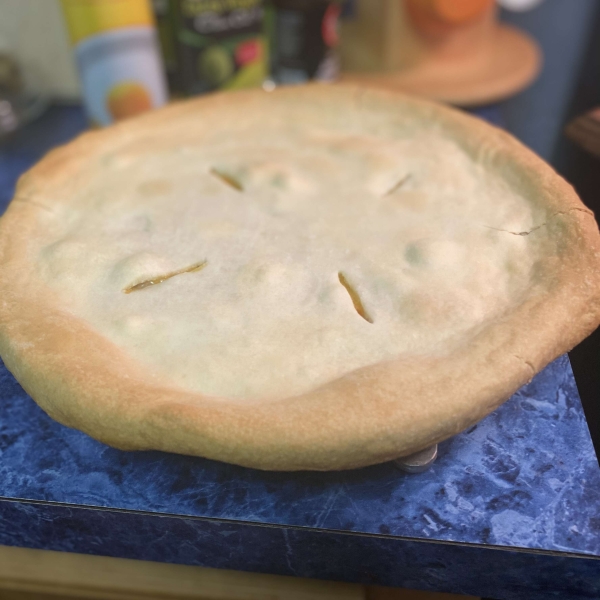 Fast and Easy Turkey Pot Pie