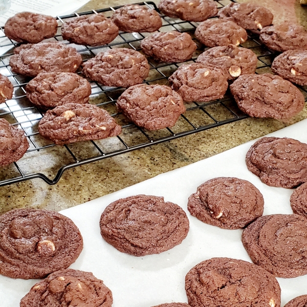 Chewy Chocolate Cookies I