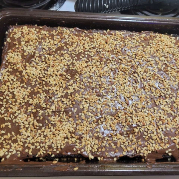 Dark Chocolate Sheet Cake with Dark Chocolate Frosting