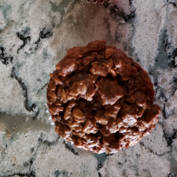 Fresh Fig Oatmeal Muffins