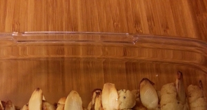 Halloween Shortbread Poppy Seed Cookie Fingers