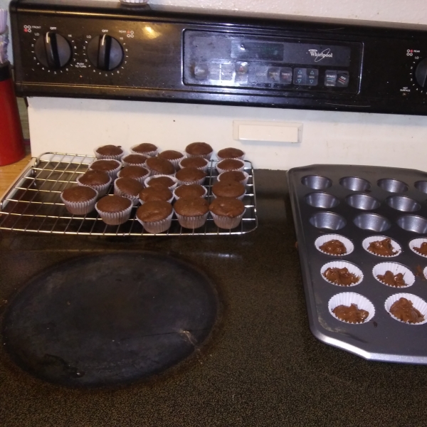 Fudgy Chocolate Chip Muffins