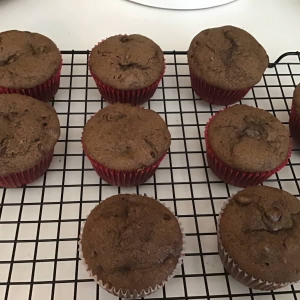 Fudgy Chocolate Chip Muffins