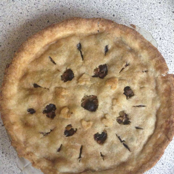 Blueberry Rhubarb Pie