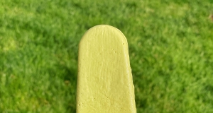 Coconut Key Lime Ice Pops
