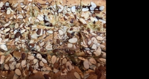 Raspberry-White Chocolate Blondies